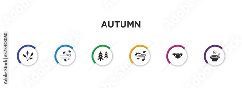 autumn filled icons with infographic template. glyph icons such as rosa canina, wind, pine, windy, bat, soup vector. photo