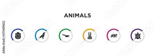 animals filled icons with infographic template. glyph icons such as ape, raven, mongoose, hare, siberian tiger, tortoise vector.