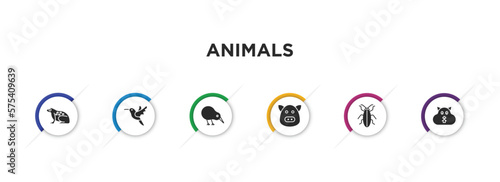 animals filled icons with infographic template. glyph icons such as tropical frop, humming bird, kiwi bird, hog, cockroach, wombat vector.