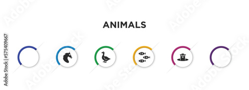 animals filled icons with infographic template. glyph icons such as hawk, wild horse, goose, ermine, shoal, groundhog vector.