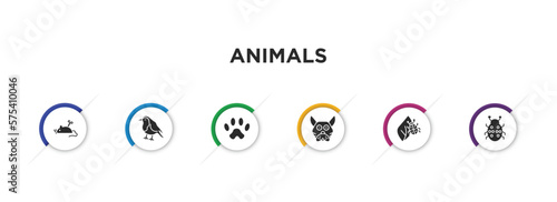 Photographie animals filled icons with infographic template