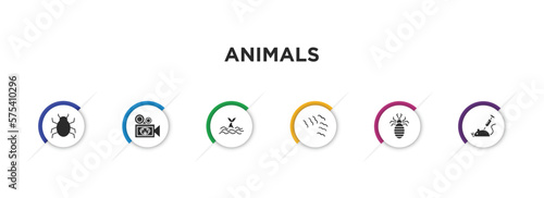 animals filled icons with infographic template. glyph icons such as app bug, documentary, whale zone, flock of birds, louse, animal testing vector.