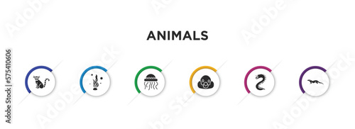animals filled icons with infographic template. glyph icons such as lemur, seaweed, medusa, snigir, moray, mink vector. photo