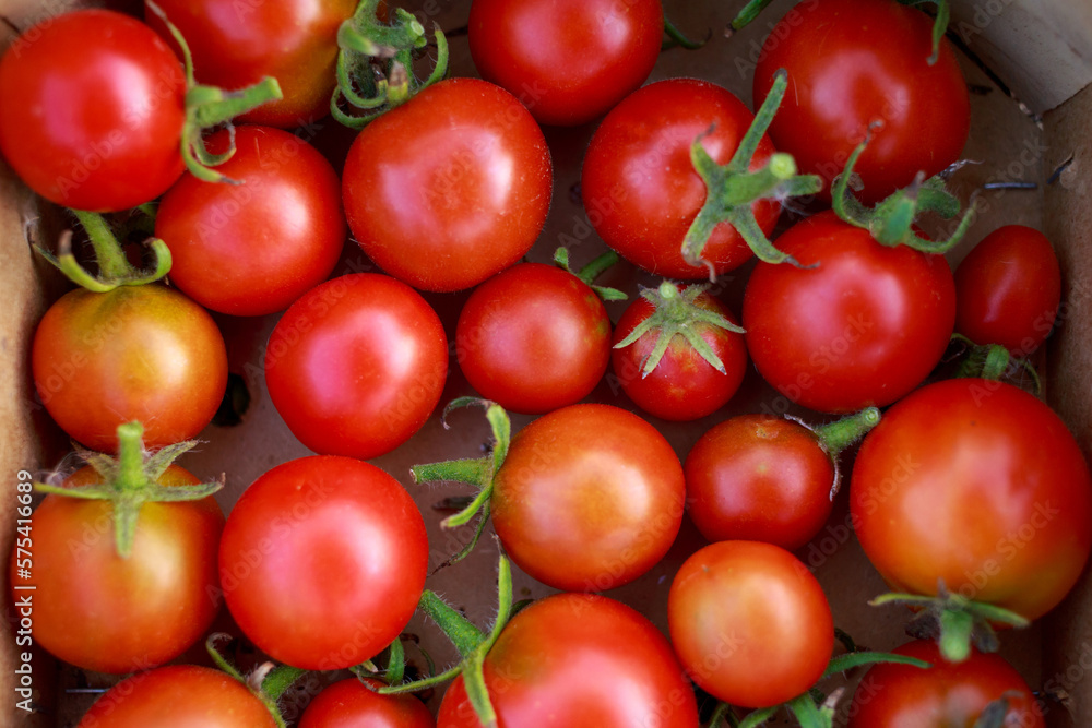 Delicious red tomatoes