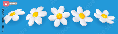 Set of daisy with white petals and yellow centre. Volumetric chamomile flowers, view from different angles. Isolated on blue background. Vector 3d realistic illustration