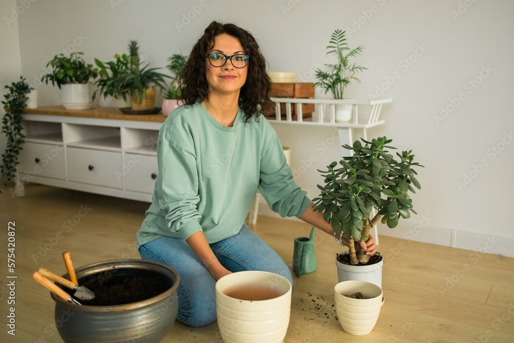 Woman gardener transplanting green plants in ceramic pots on the floor. Concept of home garden and potted plants