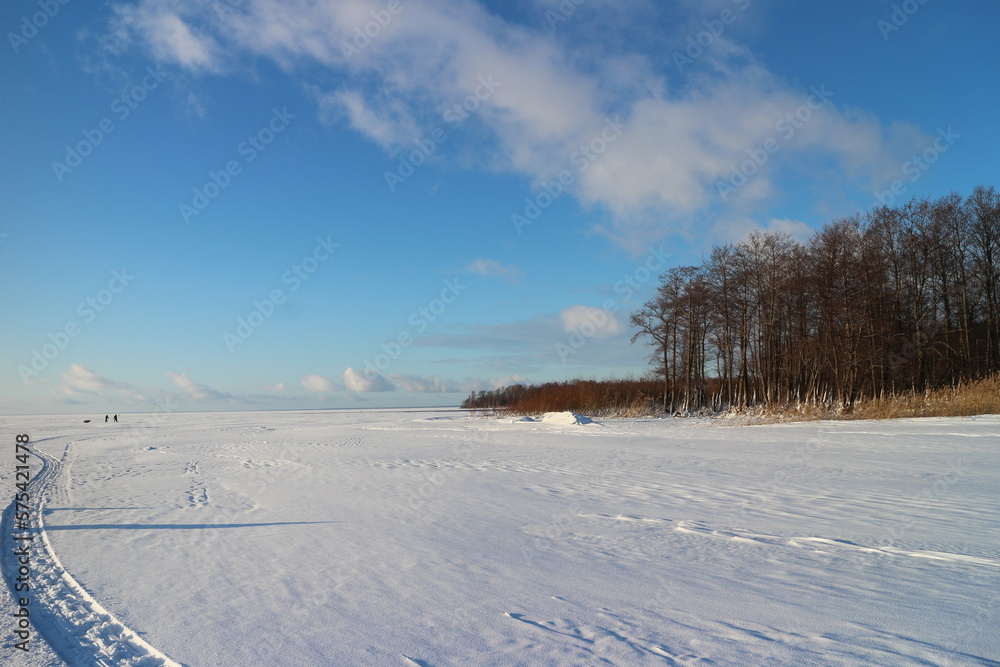 winter frozen lake, shore overgrown with forest, on the snow a trail of sleighs, silhouettes of people in the distance winter frozen lake, shore overgrown with forest, on the snow a trail of sleighs, silhouettes of people in the distance
