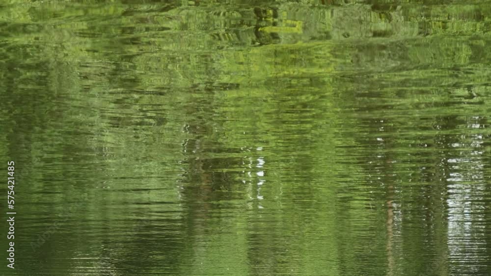 green forest reflection in the river, abstract background green forest reflection in the river, abstract background