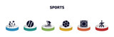 sports infographic element with filled icons and 6 step or option. sports icons such as adventure, baseball ball, windsurf sea, soccer ball, dohyo, pedestrian walking vector.