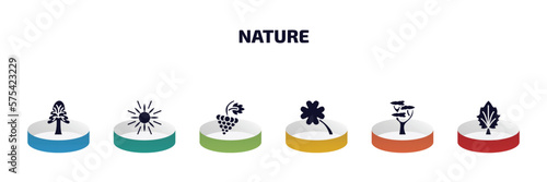 nature infographic element with filled icons and 6 step or option. nature icons such as the oaks tree, sun flare, grapevine, four leaf clover, eastern white pine tree, silver maple tree vector.