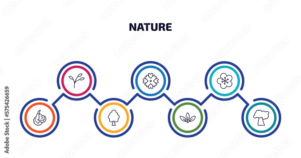 nature infographic element with outline icons and 7 step or option. nature icons such as branch, wedelia, orchid, bergamot, american elm tree, acicular, black cherry tree vector.