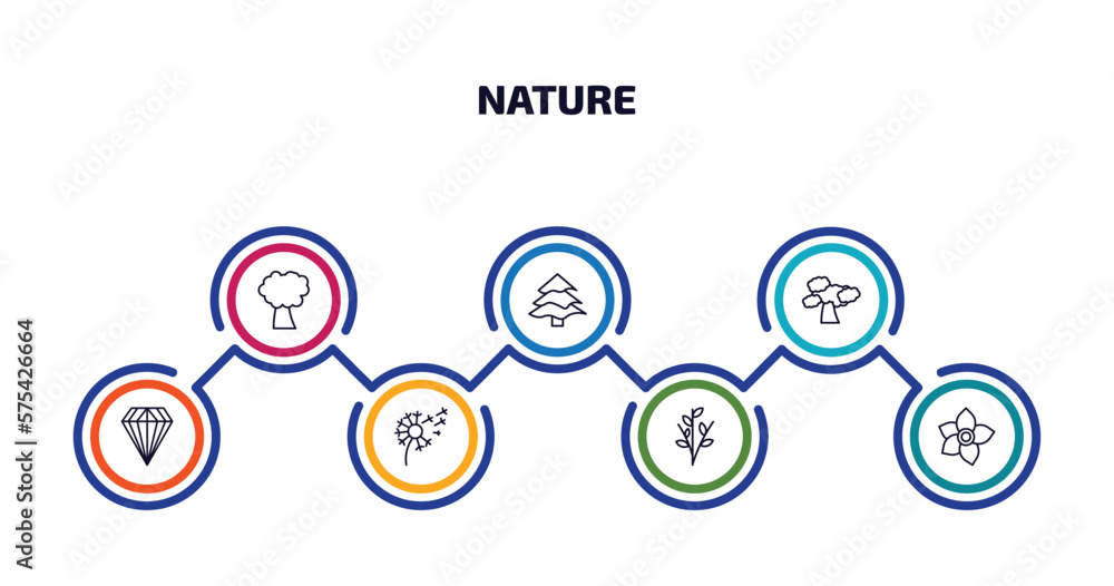 nature infographic element with outline icons and 7 step or option. nature icons such as pin cherry tree, balsam fir tree, shadbush tree, gemstone, dandelion, willow, narcissus vector. nature infographic element with outline icons and 7 step or option. nature icons such as pin cherry tree, balsam fir tree, shadbush tree, gemstone, dandelion, willow, narcissus vector.