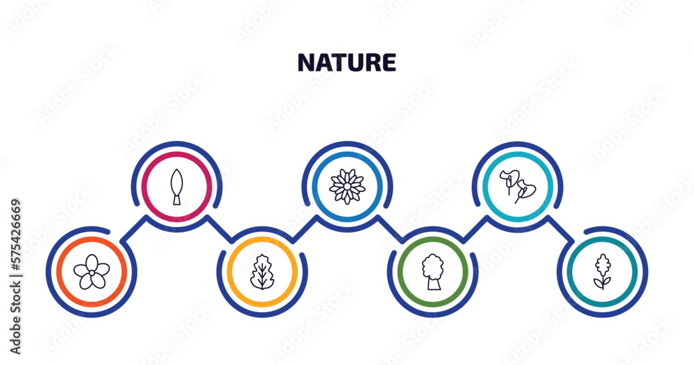 nature infographic element with outline icons and 7 step or option. nature icons such as cypress, gerbera, calla, oleander, peppermint, american chestnut tree, hyacinth vector. nature infographic element with outline icons and 7 step or option. nature icons such as cypress, gerbera, calla, oleander, peppermint, american chestnut tree, hyacinth vector.