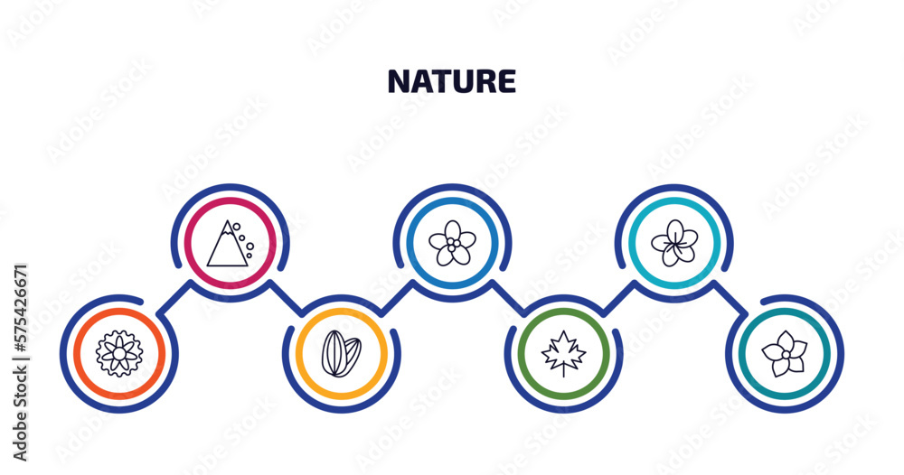 nature infographic element with outline icons and 7 step or option. nature icons such as snowslide, pointia, sakura, aster, almond, maple, hydrangea vector. nature infographic element with outline icons and 7 step or option. nature icons such as snowslide, pointia, sakura, aster, almond, maple, hydrangea vector.