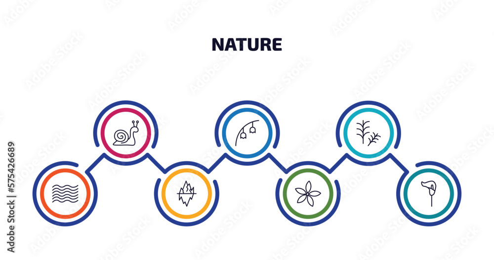 nature infographic element with outline icons and 7 step or option. nature icons such as snail, bluebell, rosemary, waves, iceberg, neroli, lily vector.