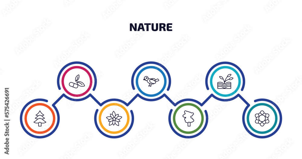 nature infographic element with outline icons and 7 step or option. nature icons such as natural medical pills, bird, plant growing on book, cedar, nymphea, sassafras tree, magnolia vector.