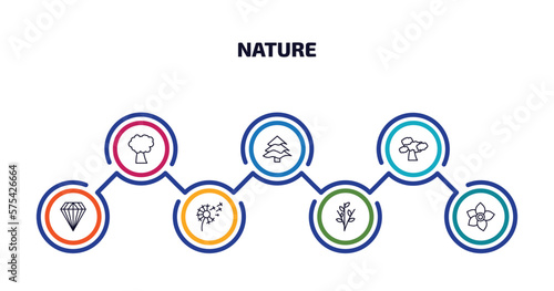 nature infographic element with outline icons and 7 step or option. nature icons such as pin cherry tree, balsam fir tree, shadbush tree, gemstone, dandelion, willow, narcissus vector.