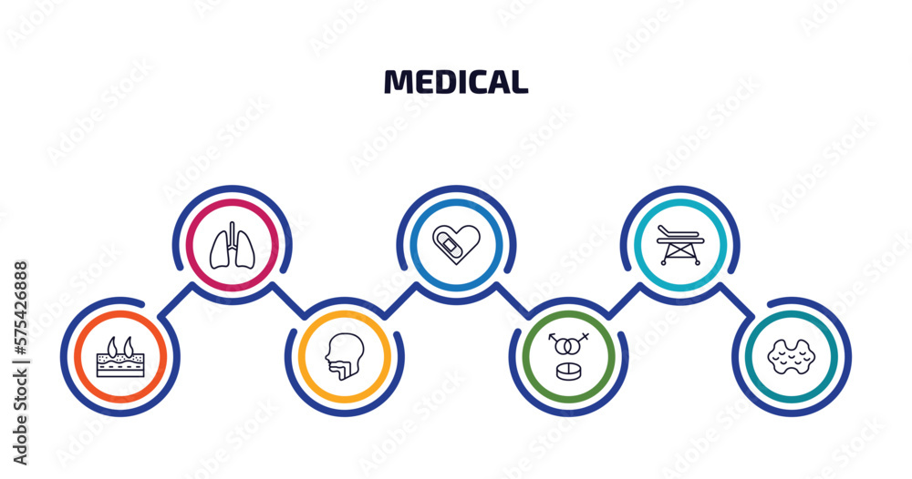 medical infographic element with outline icons and 7 step or option. medical icons such as lungs, cure, hospital bed side view, dermis, pharynx, united heterosexual, thyroid gland vector. medical infographic element with outline icons and 7 step or option. medical icons such as lungs, cure, hospital bed side view, dermis, pharynx, united heterosexual, thyroid gland vector.