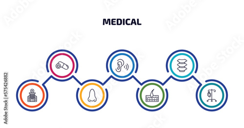 medical infographic element with outline icons and 7 step or option. medical icons such as antibiotic, ear, vertebra, hospital building front, e, epidermis, perfusion vector.