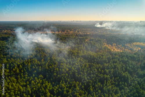 Strong fire in an empty forest. Fire spreads in a united front, strong smoke from the burning place. View from above, vertically from top to bottom.
