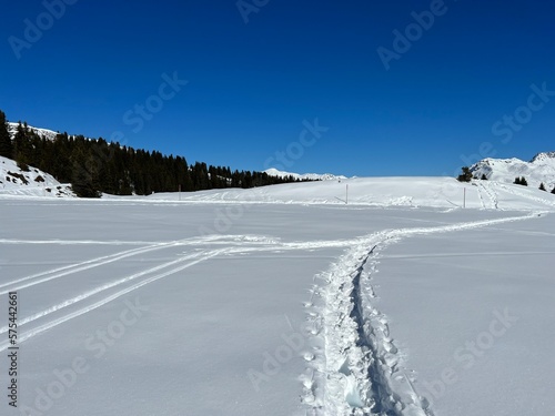 Wonderful winter hiking trails and traces in the fresh alpine snow cover of the Swiss Alps and over the tourist resort of Arosa - Canton of Grisons  Switzerland  Schweiz 