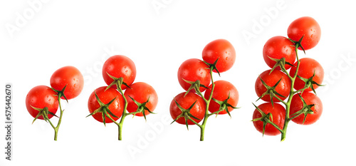 Set of fresh cherry tomatoes isolated on transparent background, png
