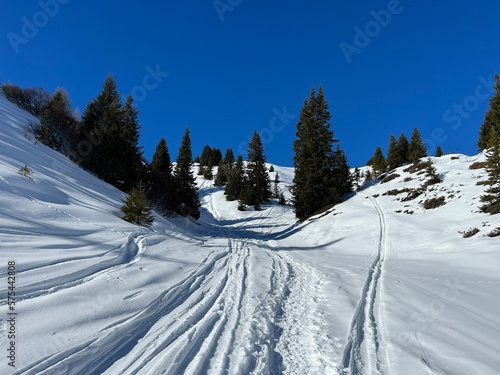 Wonderful winter hiking trails and traces in the fresh alpine snow cover of the Swiss Alps and over the tourist resort of Arosa - Canton of Grisons, Switzerland (Schweiz)