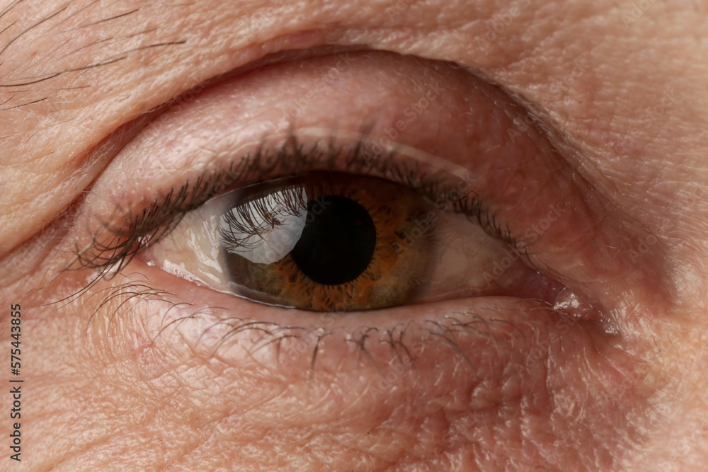 Fototapeta premium Close up image of aged man's eye, looking at camera