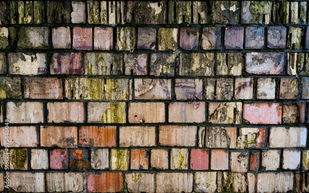 Brick wall texture with traces of mold and erosion Brick wall texture with traces of mold and erosion