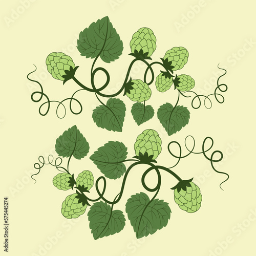 vector illustration with green hops
