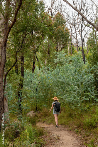 Woman hiking through the Australian bush at Crows Nest National Park, Queensland.