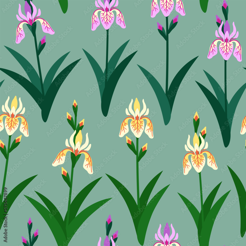 Obraz premium seamless pattern background with flowers irises