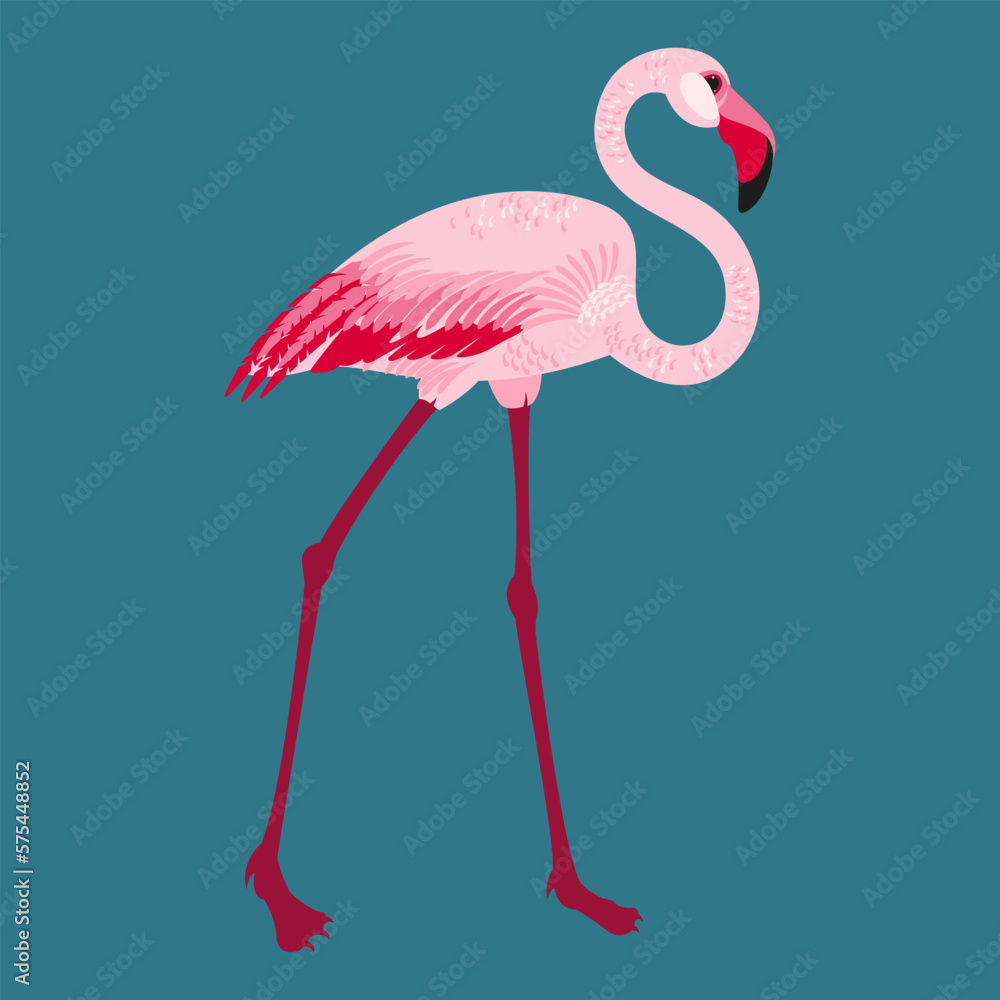 Obraz premium Vector Illustration Bird Bright Pink Flamingo
