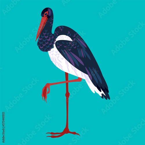 vector illustration bird black stork