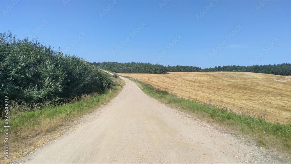 The country road runs along the shrubbery and a harvested field, behind which a mixed forest grows. Grass grows on the sides of the road. It is dusty. Sunny and clear blue skies