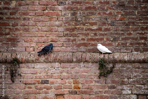 Medieval Castel in Lombardy
