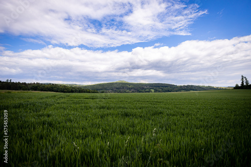green field and blue sky