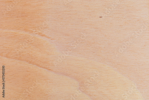 Light rough textured cut surface of an African tree. Wood background or blank for design photo