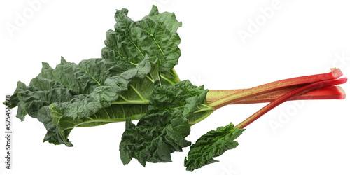 Photos Fresh rhubarb