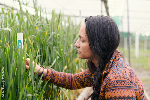 Female  native american research assistant on the field in a greenhouse