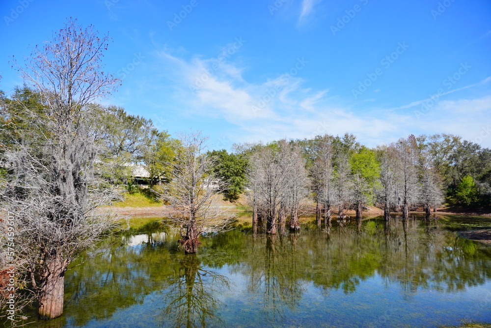 A beautiful community pond and fountain
A beautiful community pond and fountain