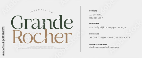 Luxury sans serif alphabet letters font and number. Classic Lettering Minimal Fashion. Typography decorative wedding fonts and logo. vector illustration