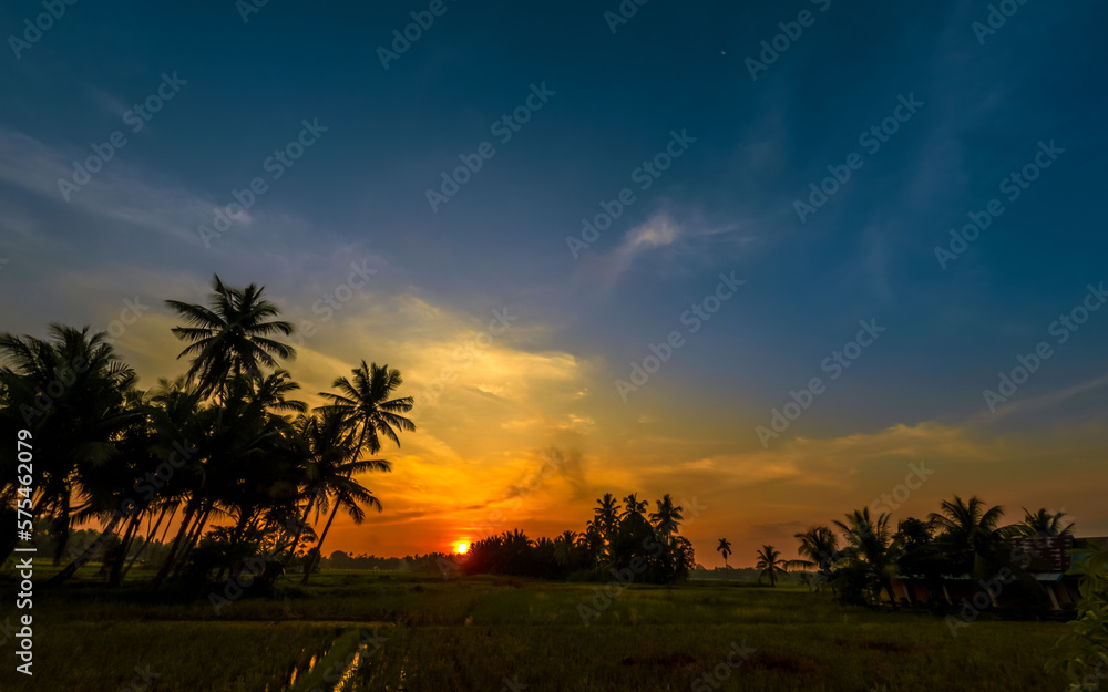 Rural sunset landscape with palm trees in silhouette
