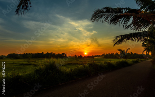 Dramatic sunset with palm tree silhouette and road