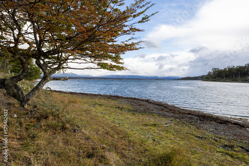 RESERVA PROVINCIAL LAGUNA NEGRA at Fagnano Lake near Tolhuin, Argentina, Tierra del Fuego, South America photo