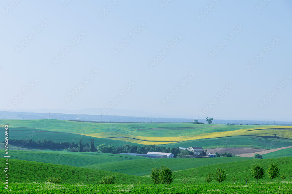 Hilly terrain, landscape of green and yellow fields. View from a height.