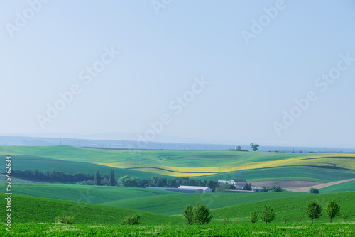Hilly terrain  landscape of green and yellow fields. View from a height.