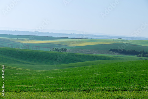 Landscape of a green and yellow field on a sunny day. Fresh air in the mountains. Bird s eye view.