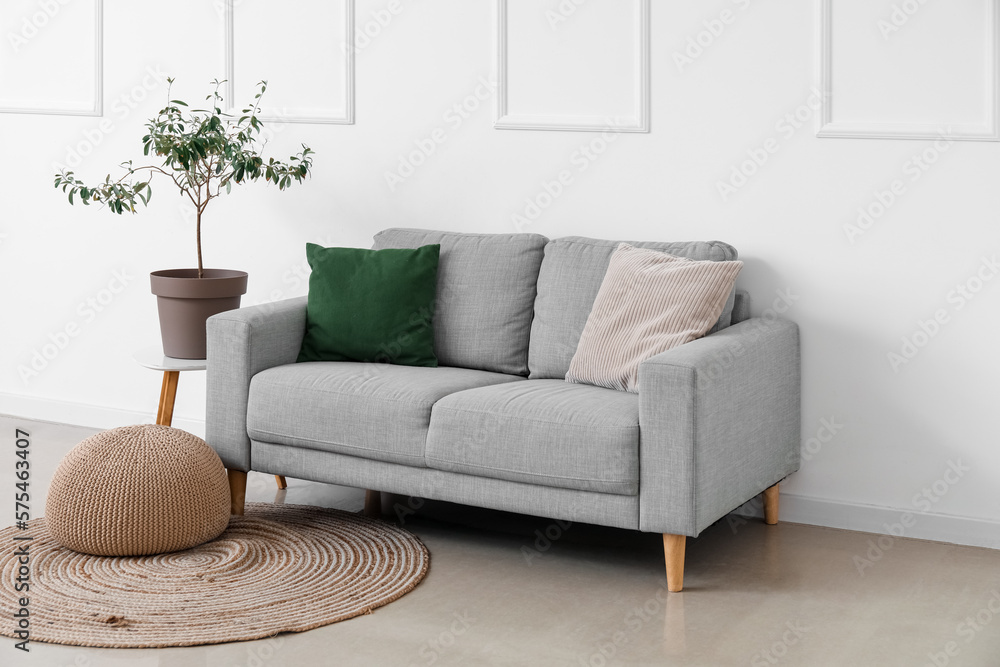 Interior of light living room with grey sofa, houseplant and pouf Interior of light living room with grey sofa, houseplant and pouf