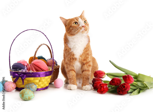 Cute cat, basket with Easter eggs and tulips on white background © Pixel-Shot